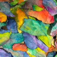 いいじま和代（芸術部） (@kazuyo_iijima) Twitter profile photo