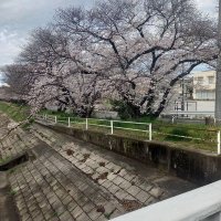 たくやん (@ji8th5bcwdnk80r) Twitter profile photo