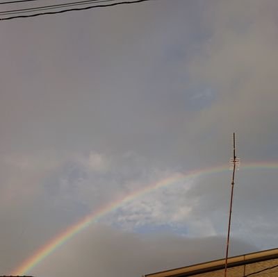 YwFEVXTQ4xvFCDD's profile picture. 