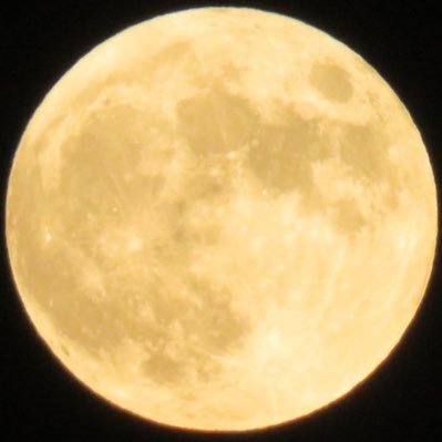 kajiyasrou's profile picture. 東京のかっぱ橋道具街にある三ツ星食器の代表取締役をしております。 料理を作るのが好きな家事野郎ですｗ