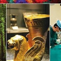 Embajada de R.I. IRAN en ARGENTINA (@iraninargentina) 's Twitter Profile