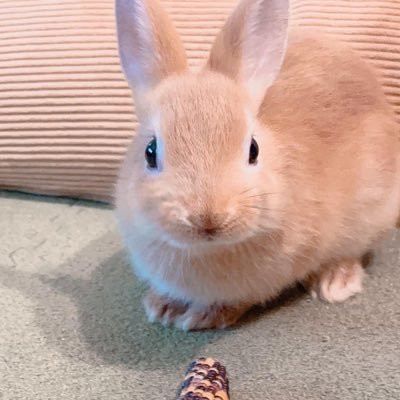 mugimugi5100's profile picture. OhmThitiwat🤍Ohm Fluke💙 無言フォロー&RT失礼します🙏