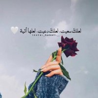 haaaals (@h_a_a_2023) 's Twitter Profile