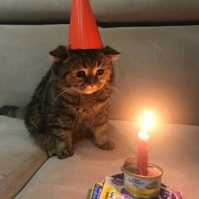 yuumisweatpants's profile picture. #1 @Crystal_onyx_cs fan