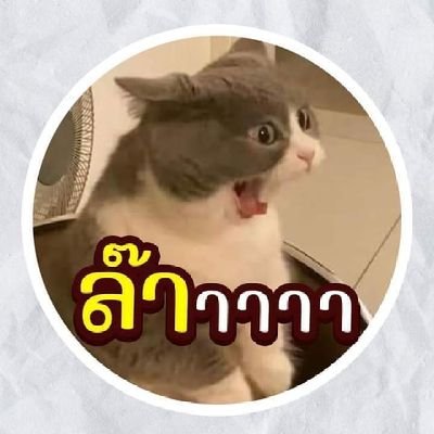 ติ่งจีน ติ่งเกาหลี ♥️ หวังอี้ป๋อ เซียวจ้าน 🦁🐰♥️ ชานยอล แบคฮยอน exo ♥️
💎เทรเชอร์ ทึเม💎
นักเขียนนามปากกา ลีฟเวอร์