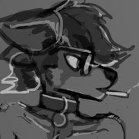 **Β°~πππ~Rowan~πππ~Β°** (@rowancryptid) 's Twitter Profile