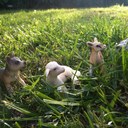 Wanda Britton - @Magicwanda_ - Twitter