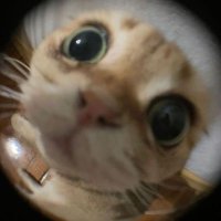 betül (@marvurii) 's Twitter Profile