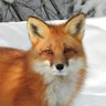 winkler1's profile picture. ReactJS, Javascript, feedback loop junky. Best OODA loop wins.