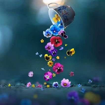 . “Tears come from the heart and not from the brain