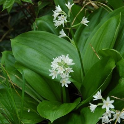 daikidaik0528's profile picture. 