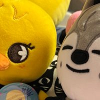 ❤️🐥aussylove🐺🩶 (@felixchick3) 's Twitter Profile