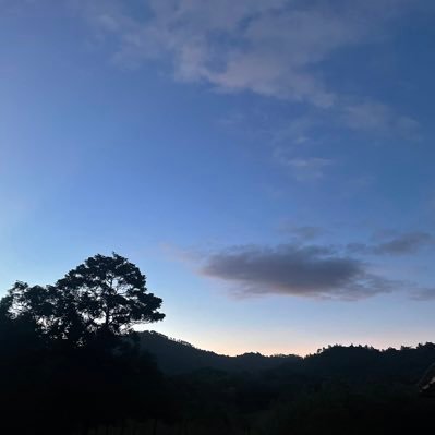 Hamilton_Reyes1's profile picture. 