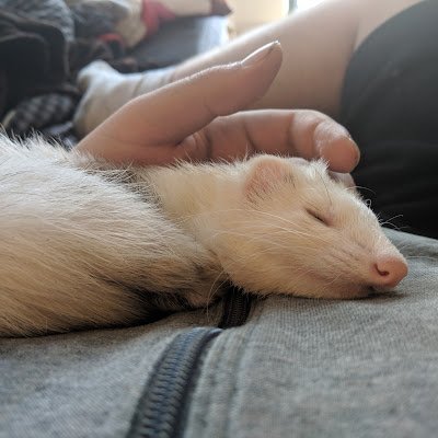 kon25136's profile picture. 