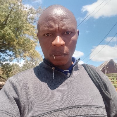 georgesambaa's profile picture. 