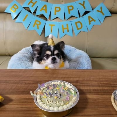 kskz1308's profile picture. 