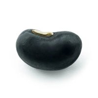 BeanMaker BLACKED (@beanblacked) Twitter profile photo