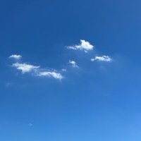 ナゥ🎭🇯🇵(bluesky greenleaf) (@aka0iro) 's Twitter Profile