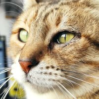 Marc Balasch Arxer (@balascharxer) 's Twitter Profile