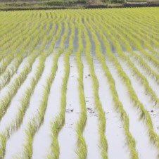 2D4D_'s profile picture. 한화,ktwiz⚾️ DB프로미🏀 T1♥️😭 일단 너부터