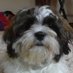 Taylor Geller (@tgeller59959) Twitter profile photo Taylor Geller (@tgeller59959) Twitter profile photo