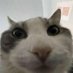 MindFlex (@aaron58806916) Twitter profile photo MindFlex (@aaron58806916) Twitter profile photo