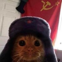 qwerty (@atmostobserver) 's Twitter Profile