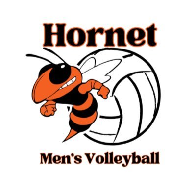 bgmensvb Profile Picture