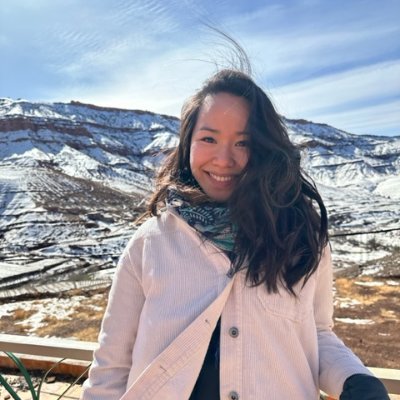 LingyViz's profile picture. Senior Engineer