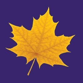 LaurierOneCard Profile Picture