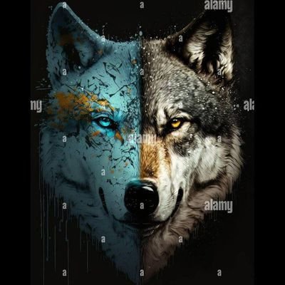 Venom16Mr's profile picture. ⚙️$Sprzedaje Euforię $ Kupuje Strach $