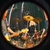 KARPADIA (@karpadia1) Twitter profile photo KARPADIA (@karpadia1) Twitter profile photo