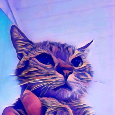 Antonio_12300's profile picture. 