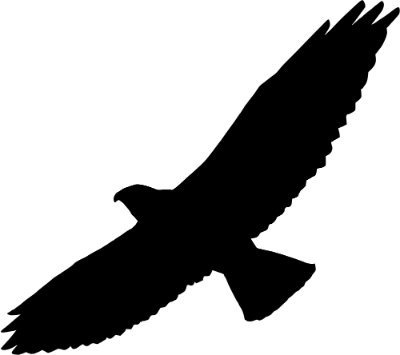 northenskies_1's profile picture. 