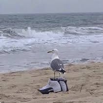 andyrizzle1's profile picture. 