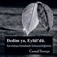 Eylül (@siradanbiriydii) 's Twitter Profile Photo Eylül (@siradanbiriydii) 's Twitter Profile Photo