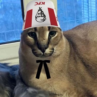 gateto21's profile picture.