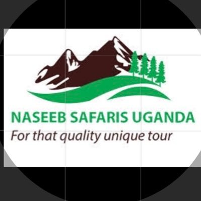 Licensed Uganda based travel company that offers customized & tailor made safaris to all parts of Uganda, Rwanda,Tanzania & Kenya.