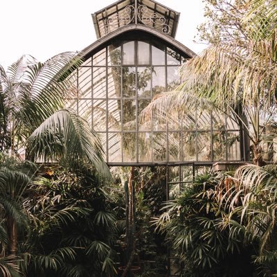 yass4650's profile picture. 