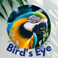 Bird's Eye (@birds_eye2) 's Twitter Profile
