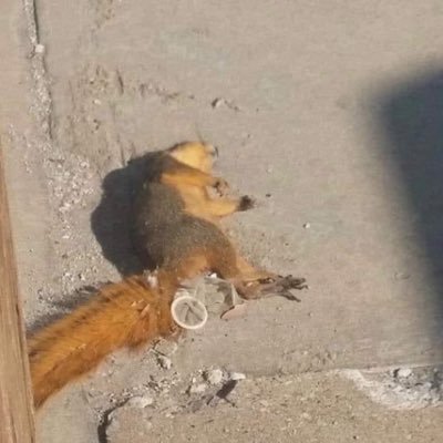 jointbatman's profile picture. PROUD NYC NATIVE