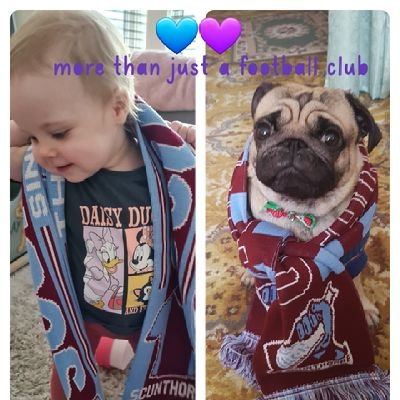 The coveted touch of a girl in love 💕💕
Work at a primary school in Liverpool. 💙Scunthorpe United 💜
The Killers ⚡⚡ John ❤ Harvey the pug🐶Mummy to Isabella🥰