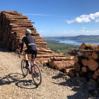 Michael Brennan (@mb_woodtech) 's Twitter Profile