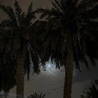 رِيـناد (@_renade1) Twitter profile photo