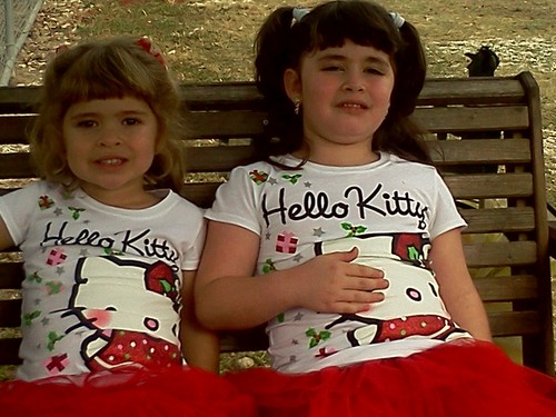 er3teaches's profile picture. 