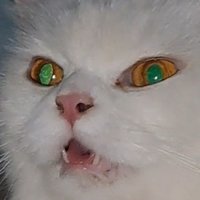 JADTART | comms open (@jadtart) 's Twitter Profile