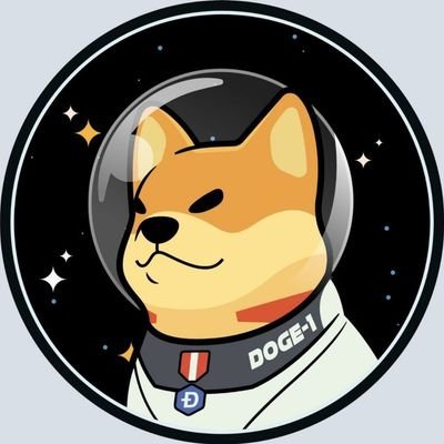 Satellite Doge-1 Mission ERC #DOGE1