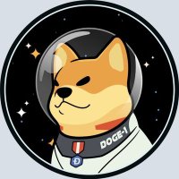 Satellite Doge-1 Mission ERC #DOGE1(@satellitedoge1x) 's Twitter Profile Photo