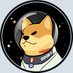 satellitedoge1x