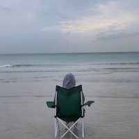 A (@ammal_dz) Twitter profile photo